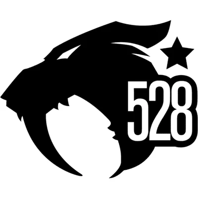 528 Custom